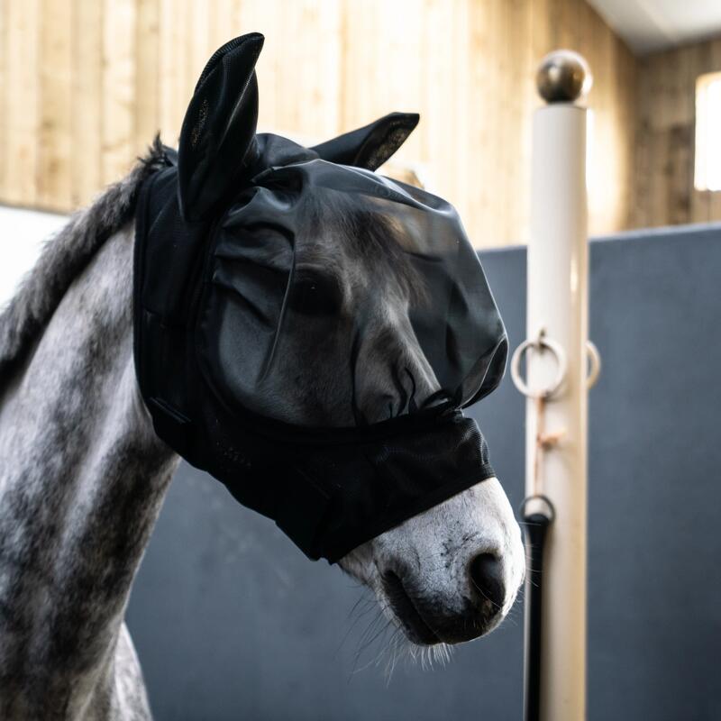 proteger_son_cheval_des_insectes