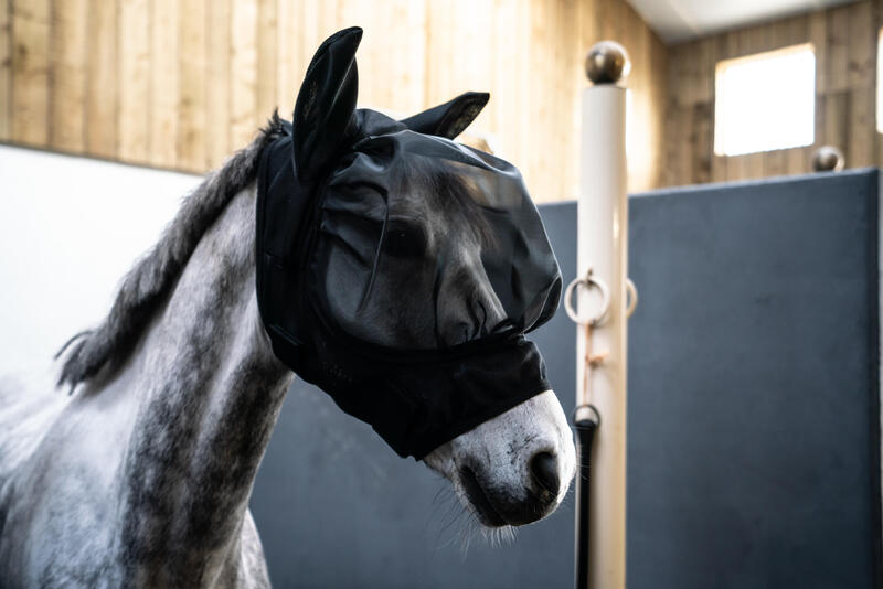 CUM SĂ ALEGI PRODUSELE DE ÎNGRIJIRE PENTRU CAL