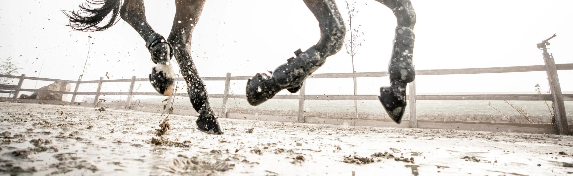 monter_a_cheval_sous_la_pluie