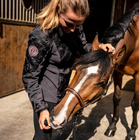bien etre pansage cheval equitation fouganza 4 bien etre pansage cheval equitation fouganza 4