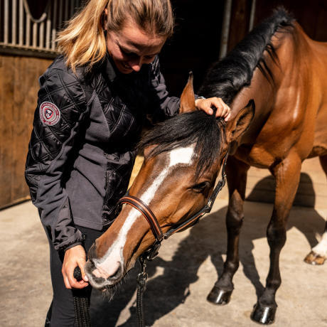 bien etre pansage cheval equitation fouganza 7 bien etre pansage cheval equitation fouganza 7