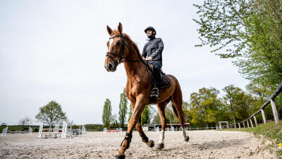 epaule-en-dedans-cheval.jpg