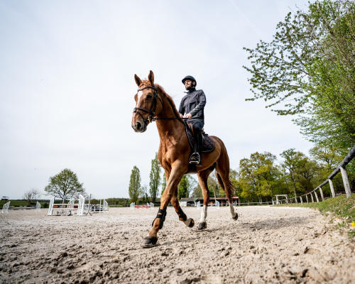 préparer et demander une épaule en dedans à son cheval