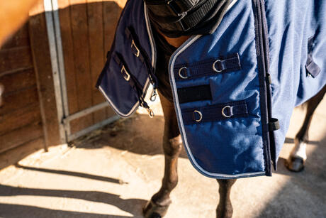 Alt/comment tondre son cheval ? Alt/comment tondre son cheval ?