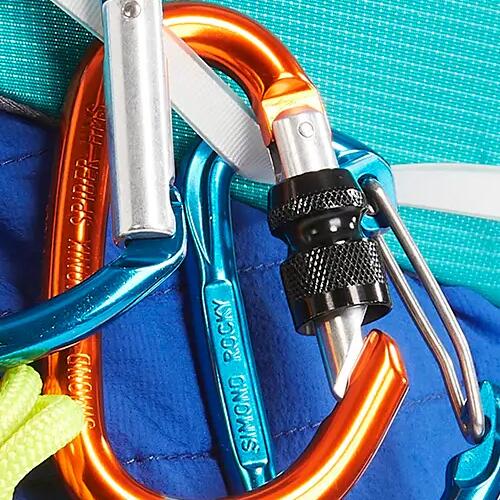 spider_hms_vis_simond