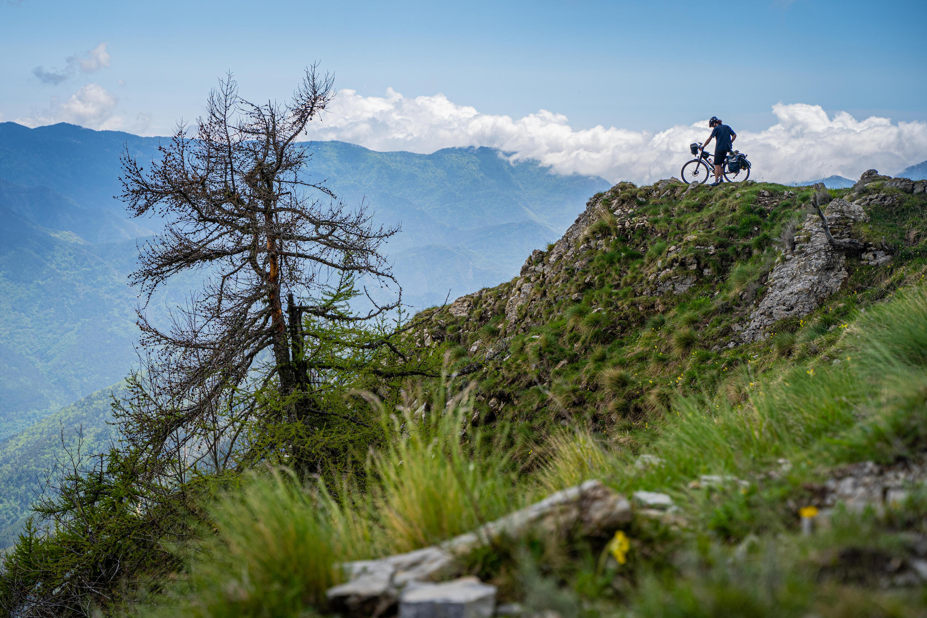 VÉLO TOUT CHEMIN RIVERSIDE 920 14/17