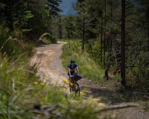 Mężczyzna w kasku jadący rowerem trekkingowym w terenie