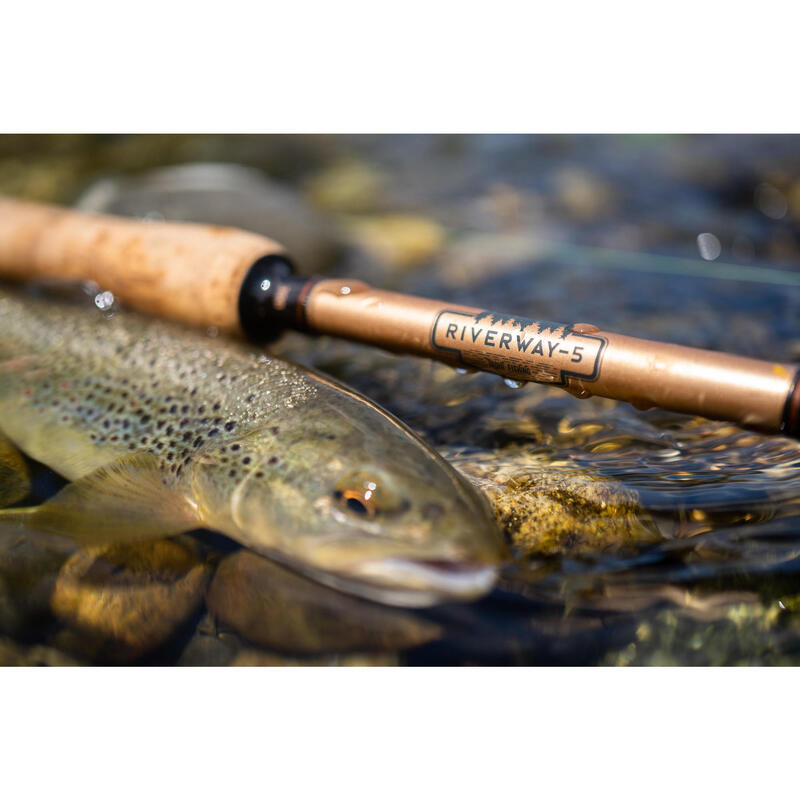 f27b2939-e50c-4c39-a48d-e948331ebf63