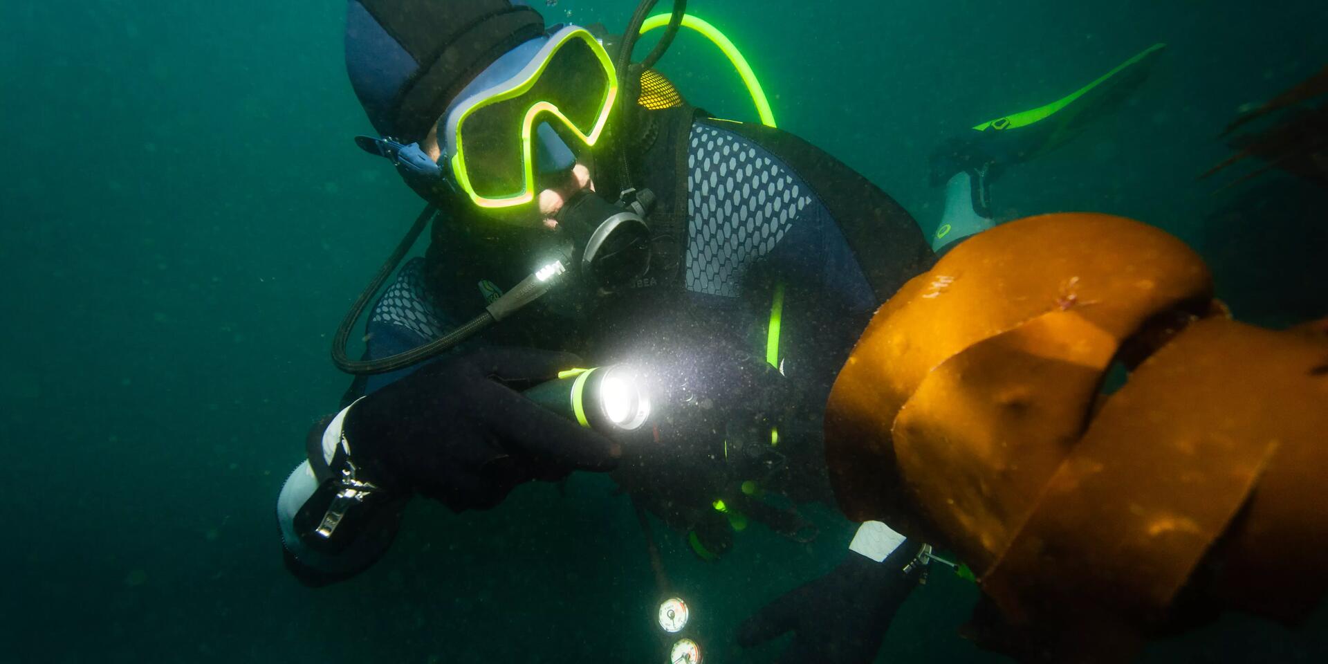mężczyzna nurkujący w masce i skafandrze nurkowym z włączoną latarką do nurkowania