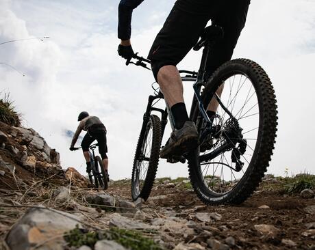 Le VTT All Mountain en résumé Le VTT All Mountain en résumé