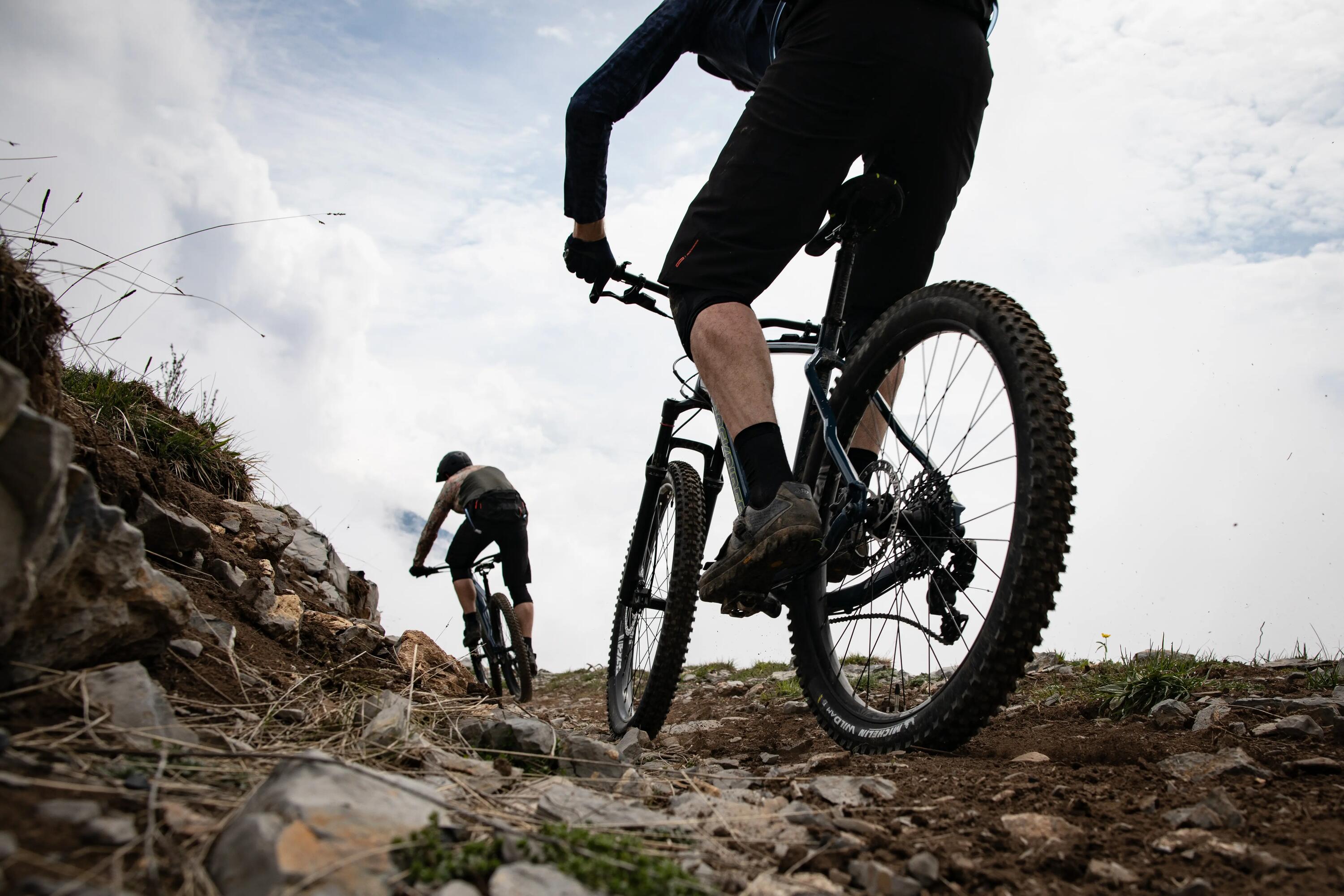 MOUNTAIN BIKE ROCKRIDER AM 100 HARDTAIL 21/22