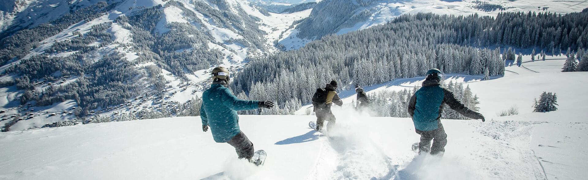 DREAMSCAPE - die Snowboard-Marke für alle!  