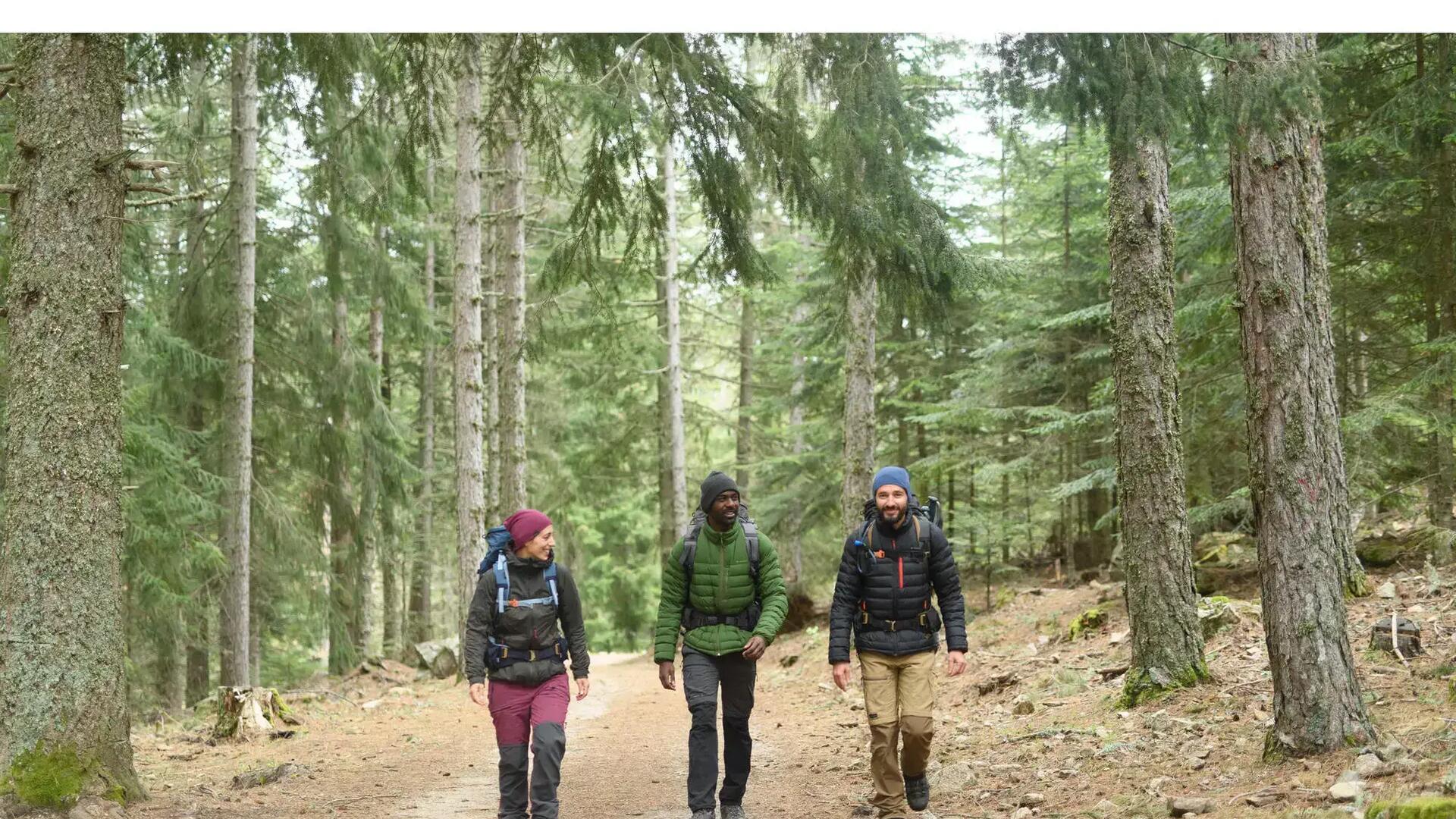 Veste de randonnée ou veste de travail ?