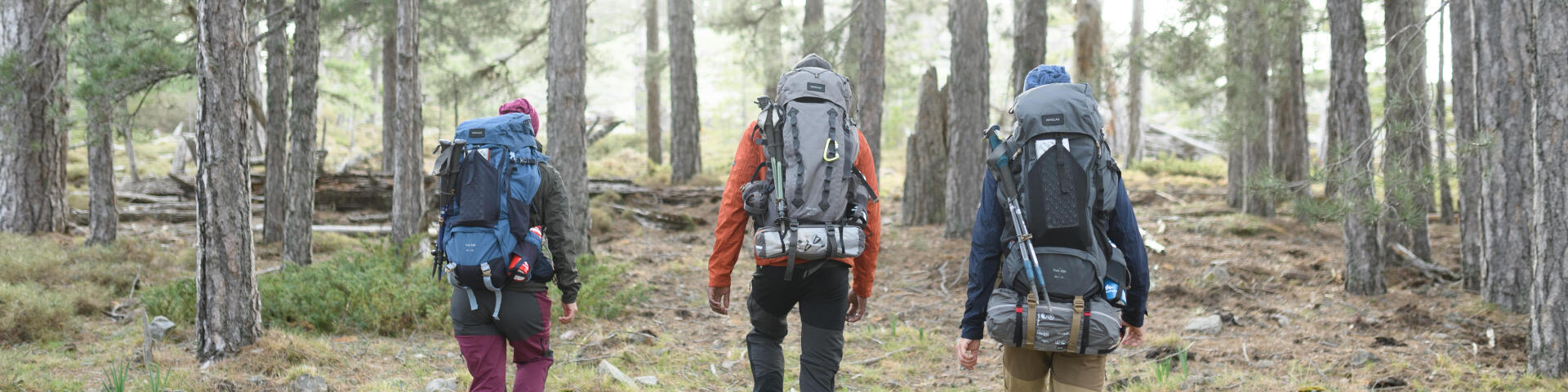 Photo de trois randonneurs en forêt