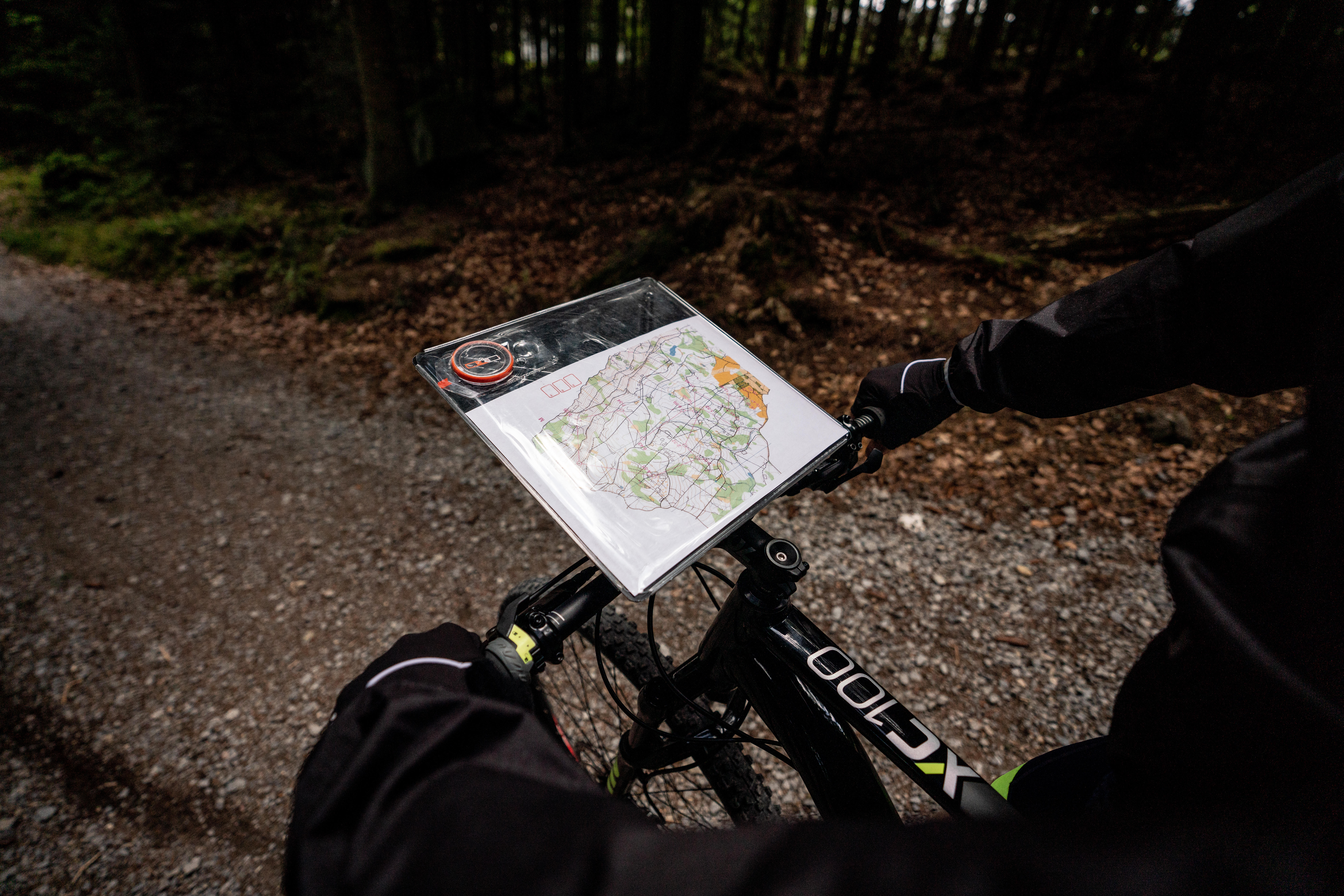 להתאמן בחופשה