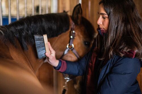 Commencer l'équitation avec succès : Astuces, lieux idéaux et équipements  essentiels