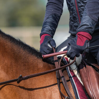 Cravaches Cheval - Aides Artificielles Equitation