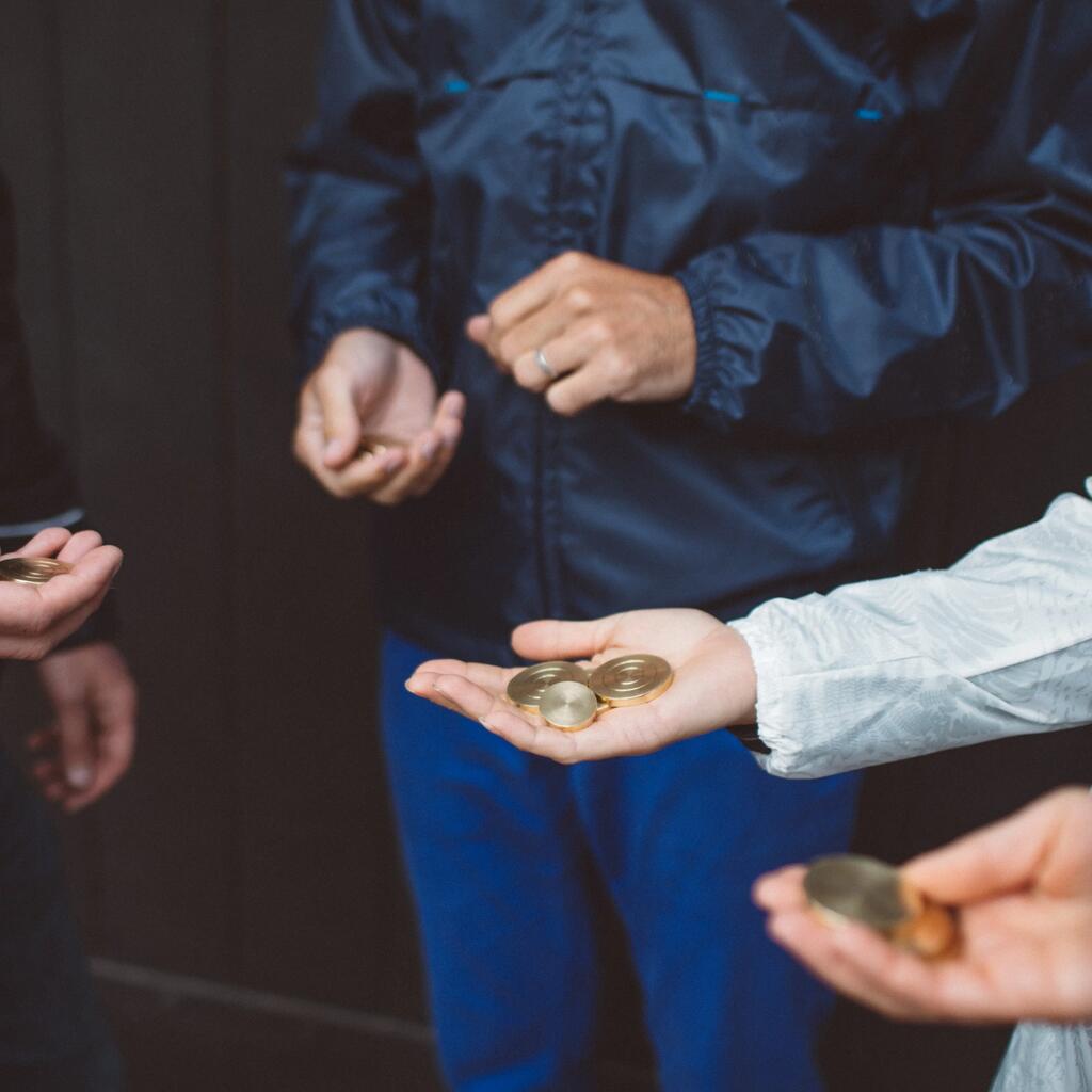 12 žalvarinių Vandėjos paletės diskų ir 1 ritulio rinkinys