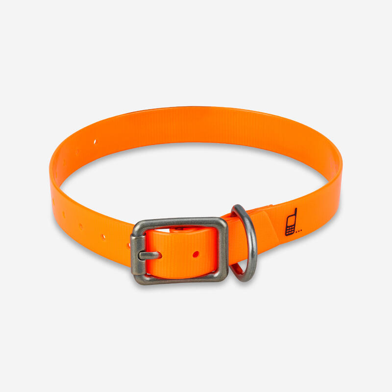 Collier chien Orange fluo 500