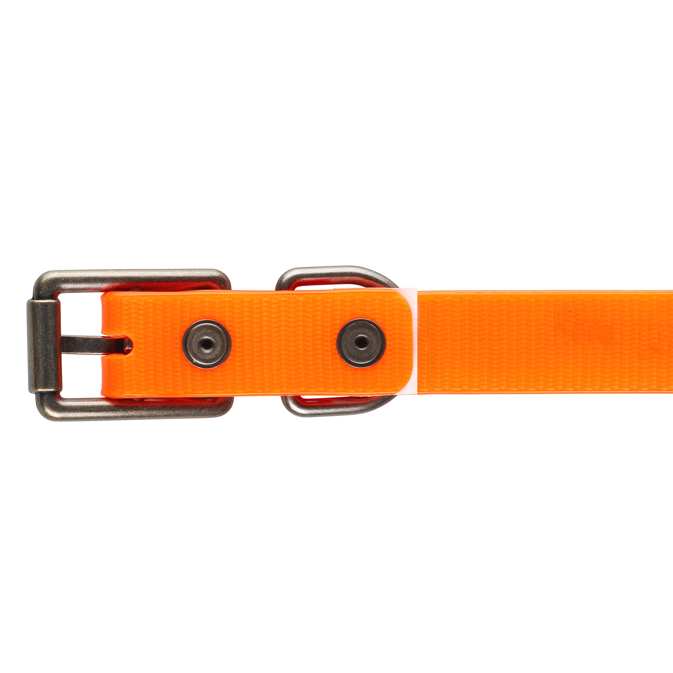Collier chien orange 100 7/12