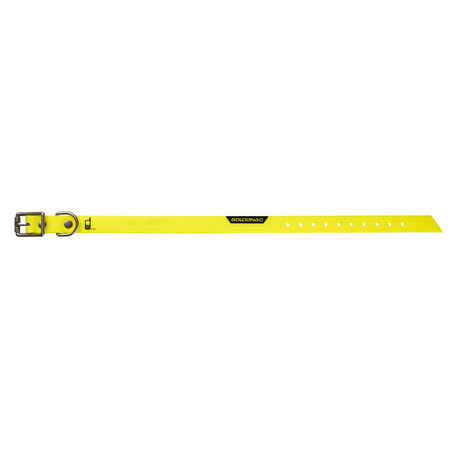 Dog Collar Neon Yellow 500