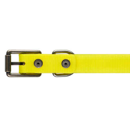Dog Collar Neon Yellow 500