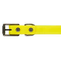 Dog Collar Neon Yellow 500