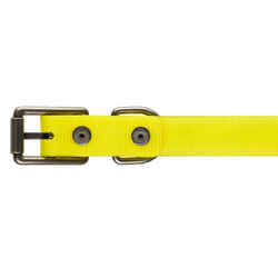 Dog Collar Neon Yellow 500