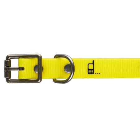 Dog Collar Neon Yellow 500