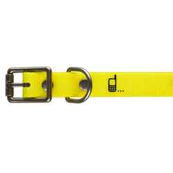 Dog Collar Neon Yellow 500