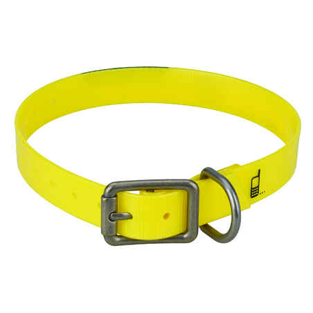 Dog Collar Neon Yellow 500