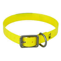 Dog Collar Neon Yellow 500