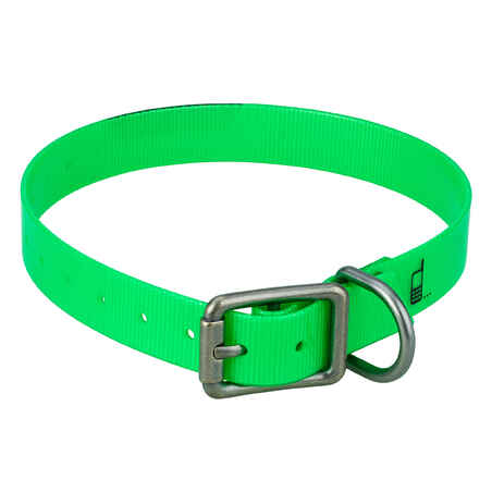 Dog collar 500 - Neon green