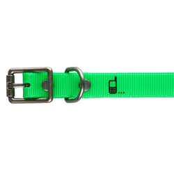 Dog collar 500 - Neon green