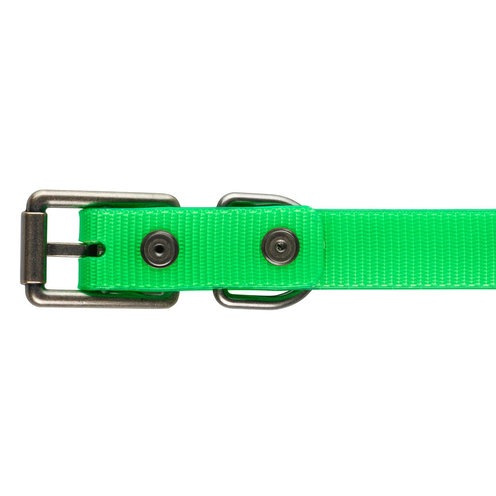 Dog collar 500 - Neon green