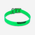 Collier chien Vert fluo 500