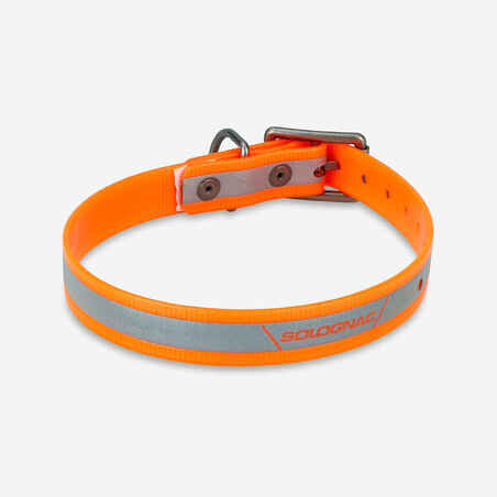 orange reflective dog collar 520
