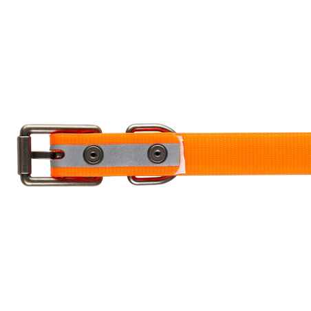 orange reflective dog collar 520