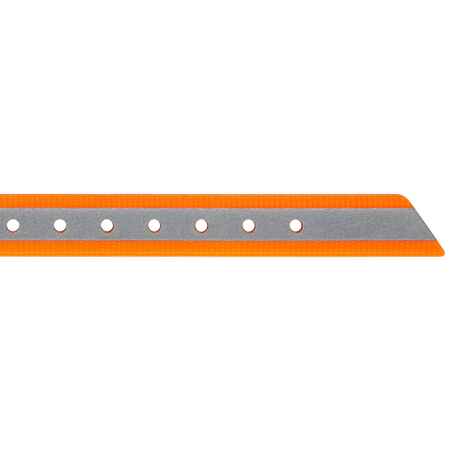 orange reflective dog collar 520