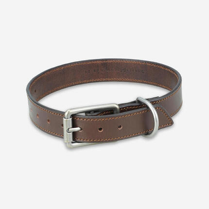 Hundehalsband 900 Leder