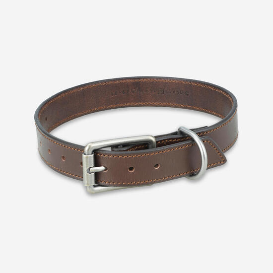 Hundehalsband 900 Leder