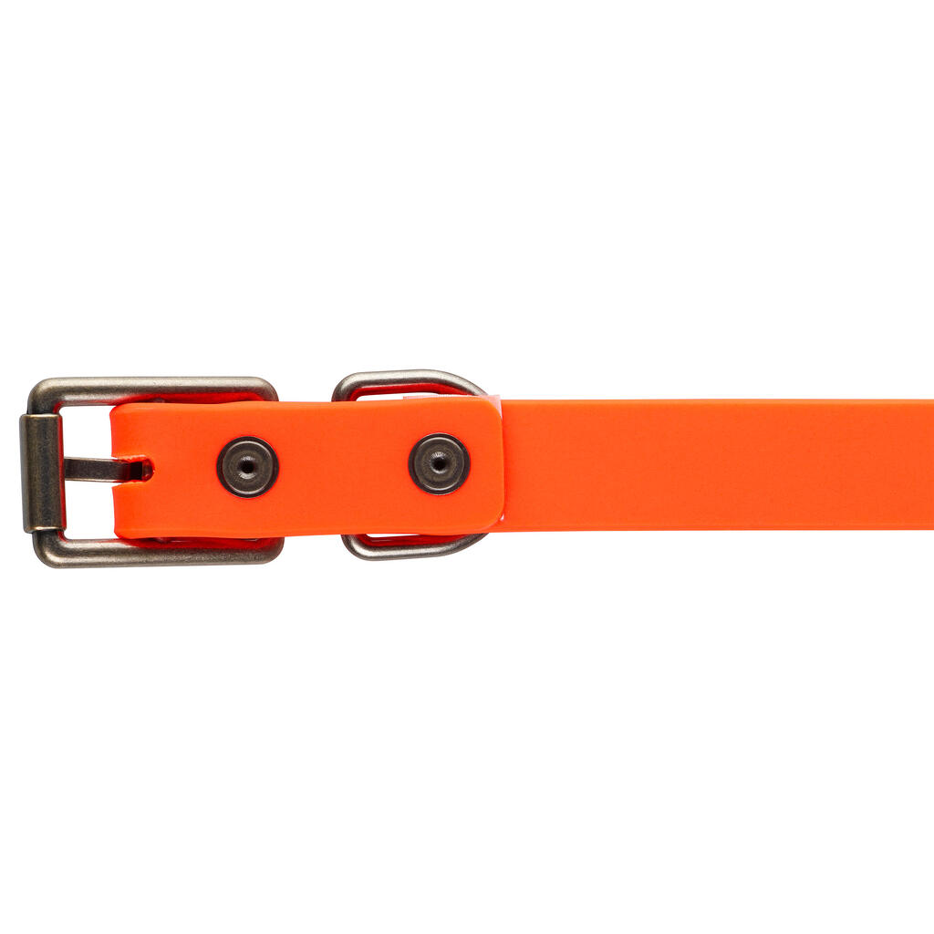 Collier chien Orange 900