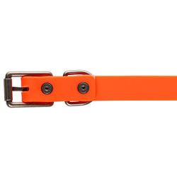 Collier chien Orange 900