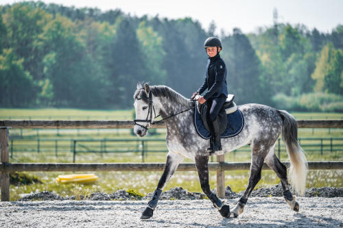 Commencer l'équitation avec succès : Astuces, lieux idéaux et équipements  essentiels