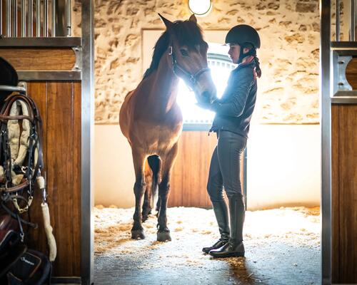 Commencer l'équitation : mon premier cours