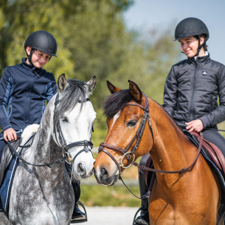 bien-etre-cheval-travail-equitation-fouganza-decathlon-3 bien-etre-cheval-travail-equitation-fouganza-decathlon-3