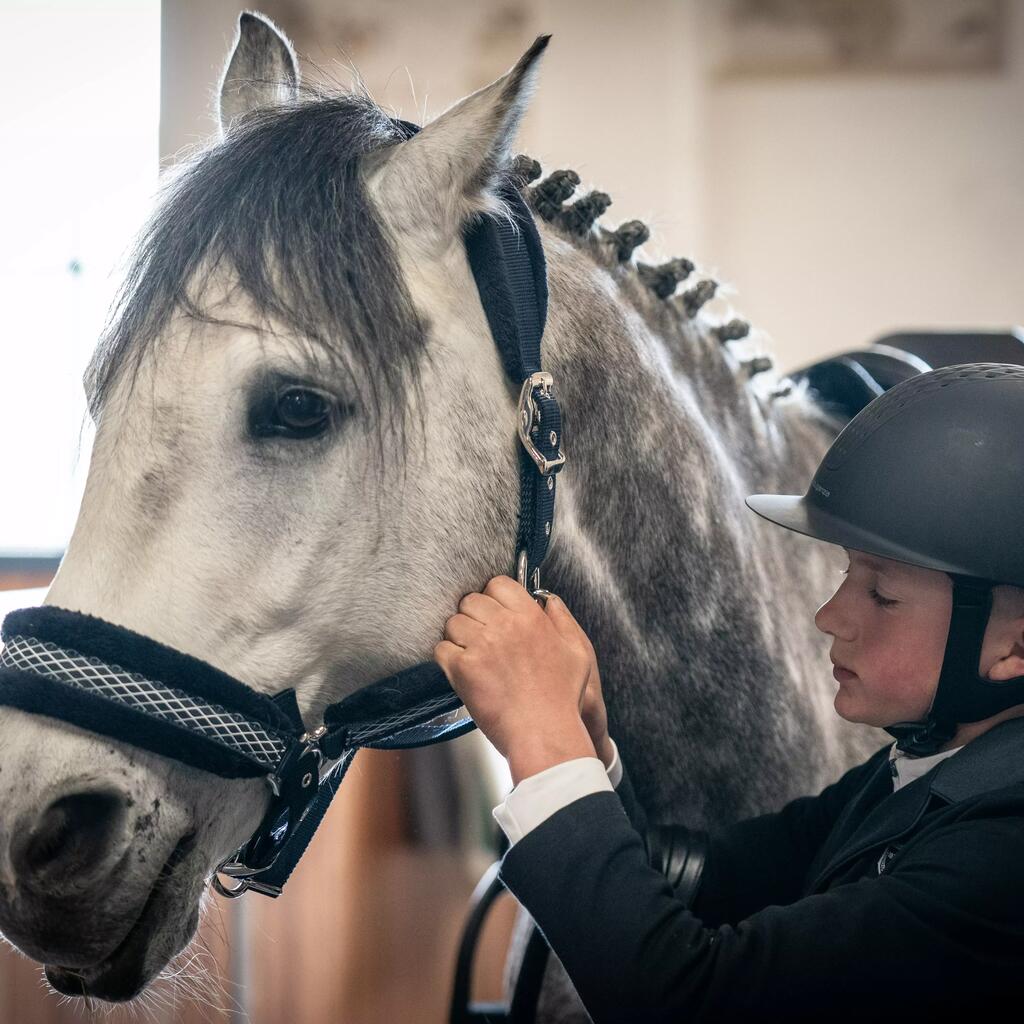 Jazdecká ohlávka Winner na kone a poníky námornícka modrá