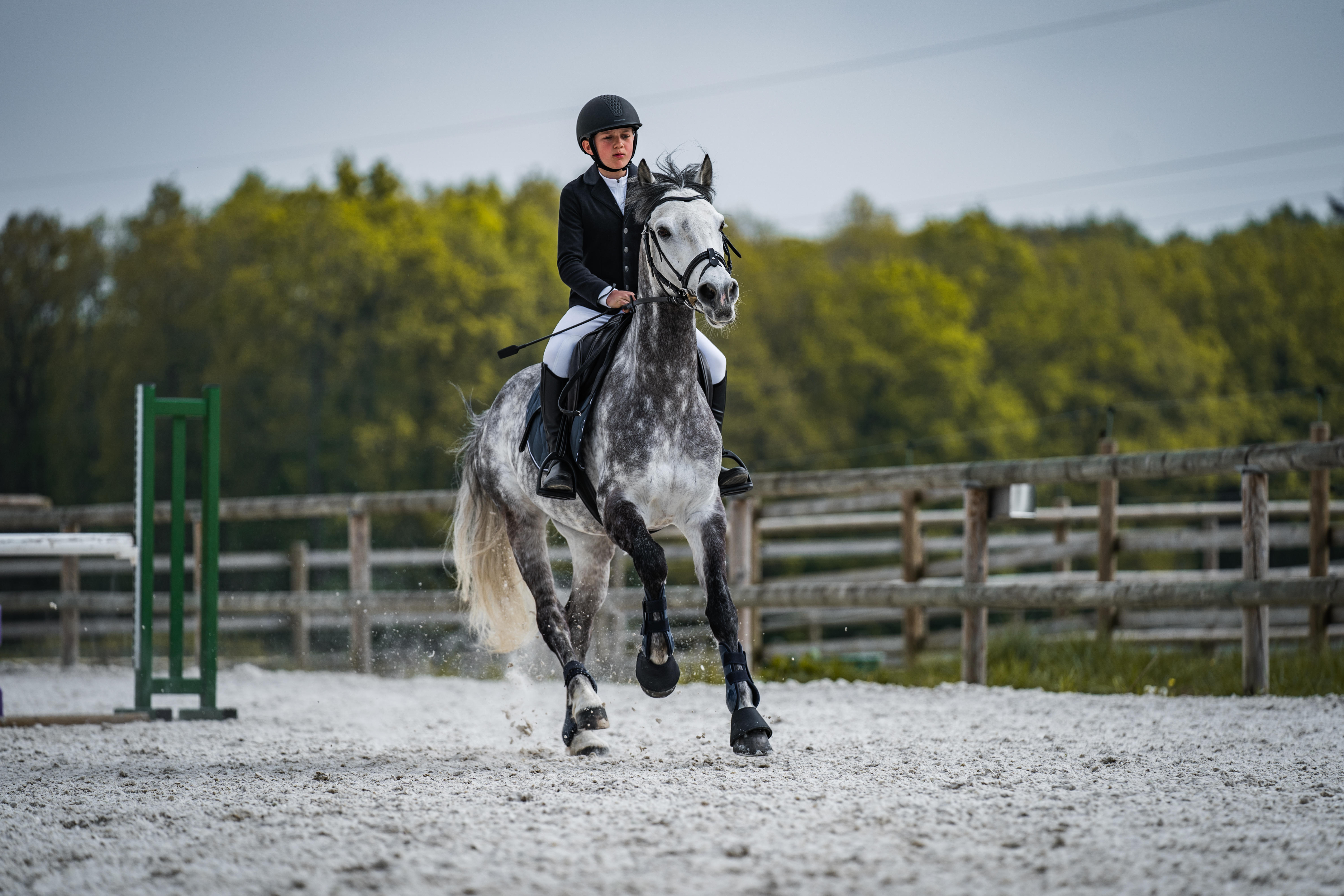 Veste de concours équitation COMP 100 bleu roi - enfant  - FOUGANZA