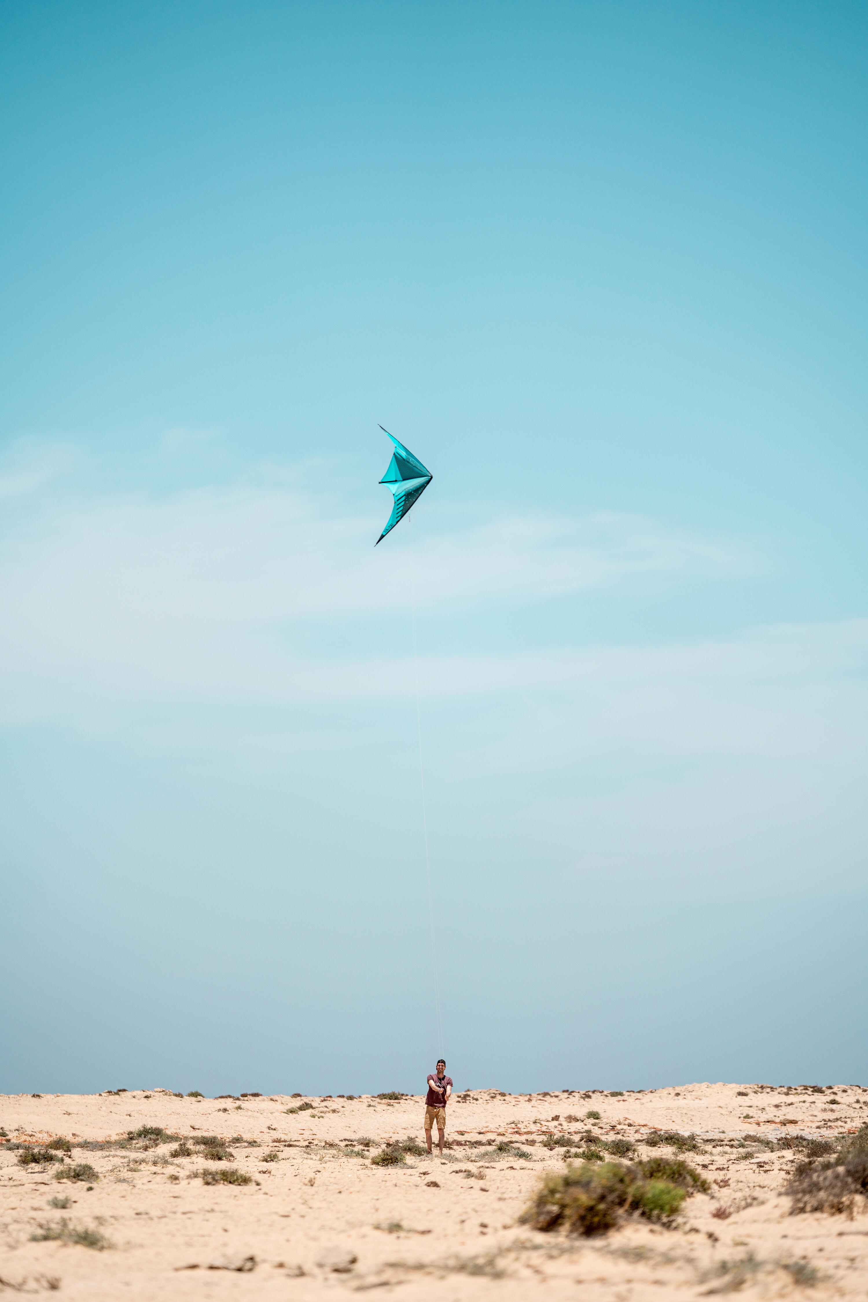 Papagaio pilotável polivalente FYF 500 Carbono 12/15