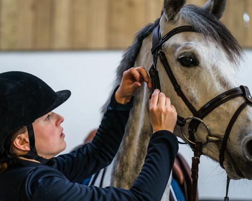 hoofdstel in leer of synthetisch materiaal